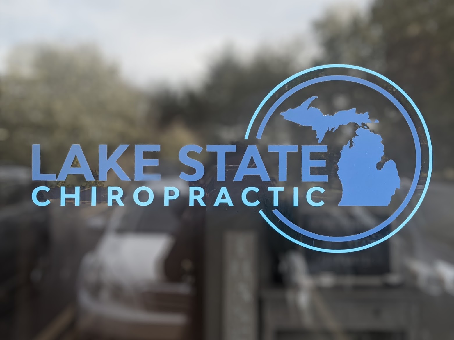 Lake State Chiropractic